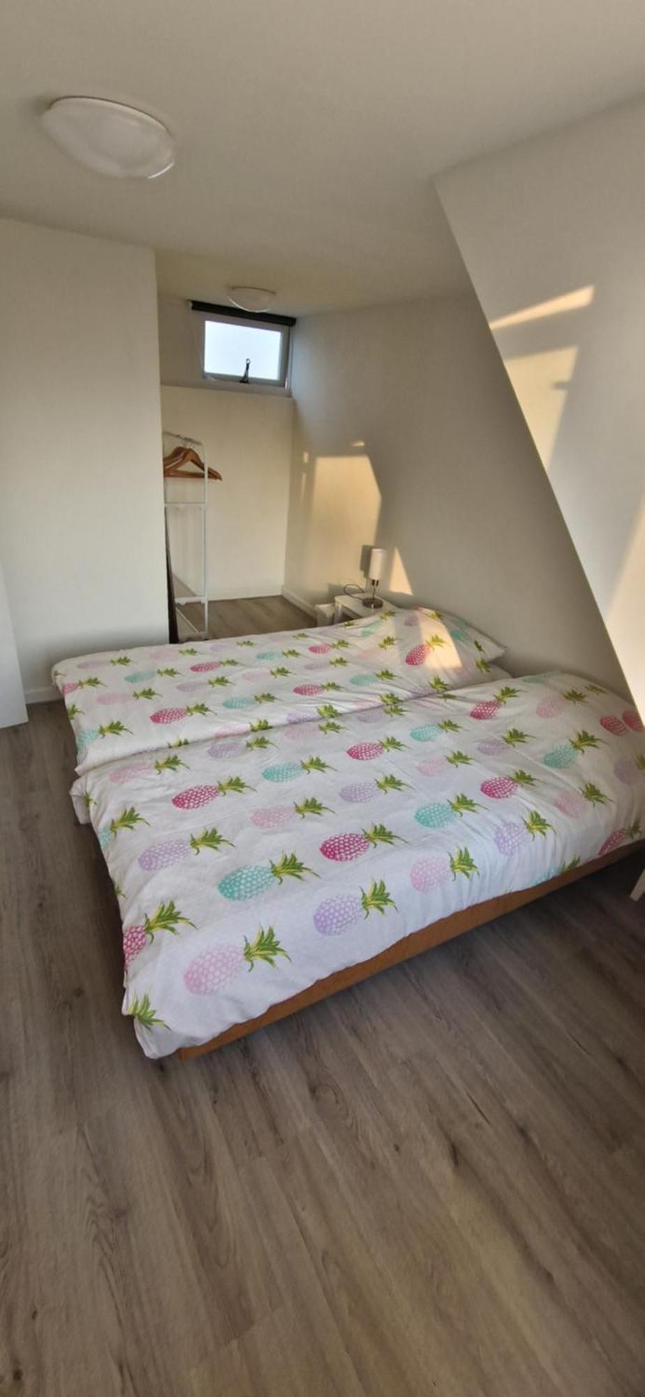 Der Springbrunnen Villa Egmond aan Zee Exteriör bild