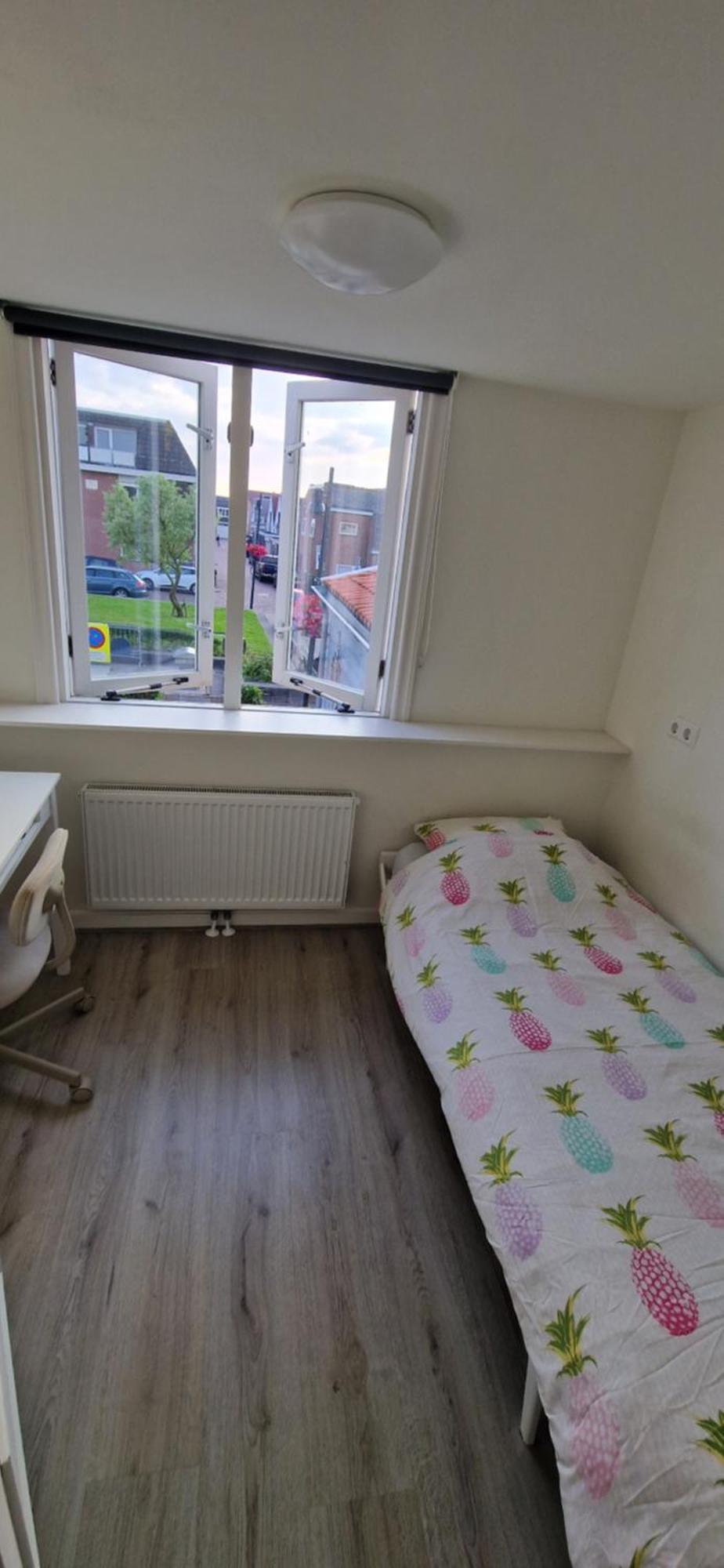 Der Springbrunnen Villa Egmond aan Zee Exteriör bild